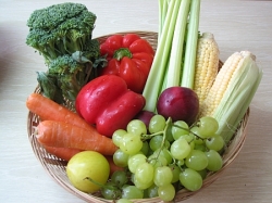 Exercise and Nutrition for the Vegetarian